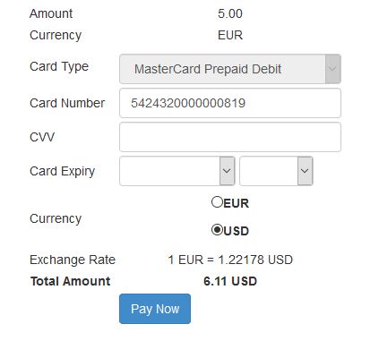 Sample Hosted Payments Page (DCC) Form