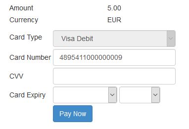 Sample Hosted Payments Page Form